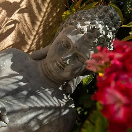 Symphony A Corse Du Sud