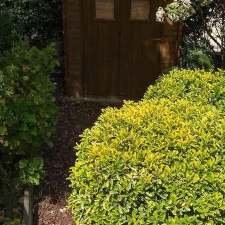 別荘 Symphony A Corse Du Sud