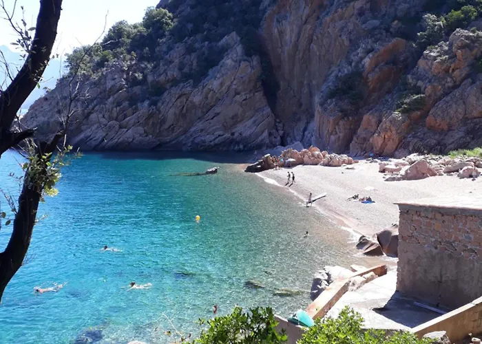 Symphony A Corse Du Sud Casa de Férias