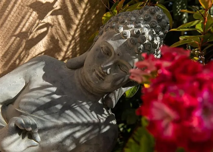 Symphony A Corse Du Sud