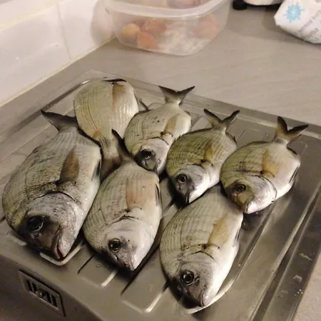 Symphony A Corse Du Sud