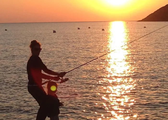 Prázdninový dům Symphony A Corse Du Sud