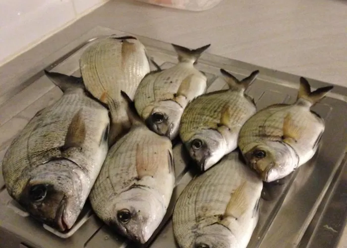 Symphony A Corse Du Sud