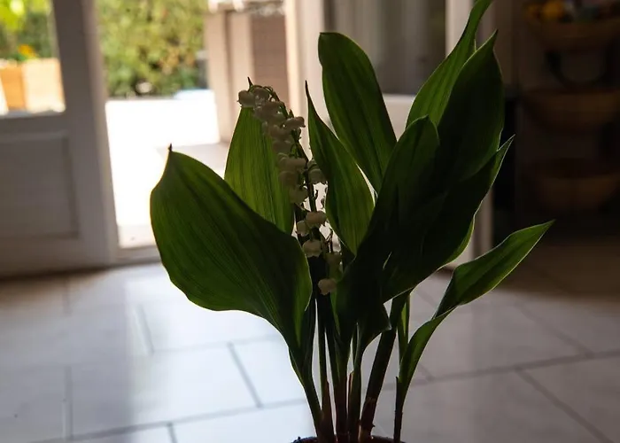 Symphony A Corse Du Sud Prázdninový dům Piana (Corsica)