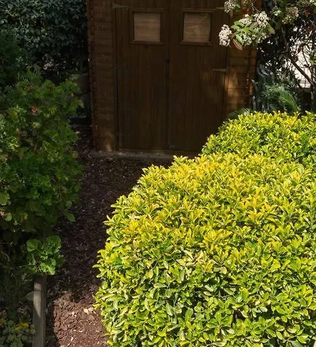 Prázdninový dům Symphony A Corse Du Sud